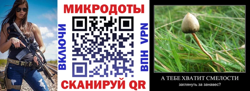 Псилоцибиновые грибы MAGIC MUSHROOMS  Вытегра 
